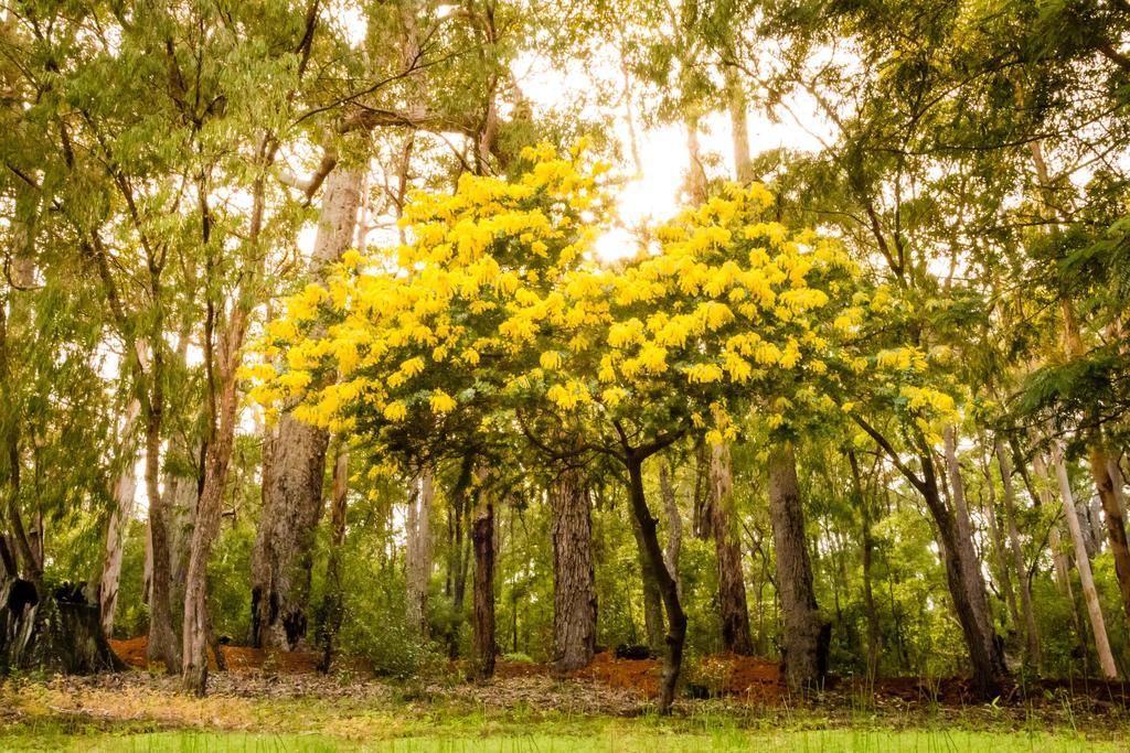 Riverglen Chalets Margaret River Εξωτερικό φωτογραφία